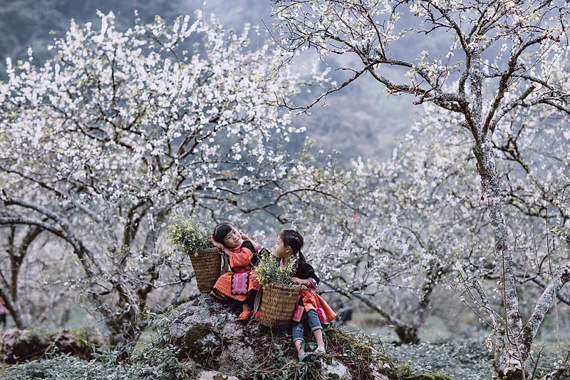 MỘC CHÂU – ĐỒI CHÈ  - ĐÈO PHA ĐIN – ĐIỆN BIÊN