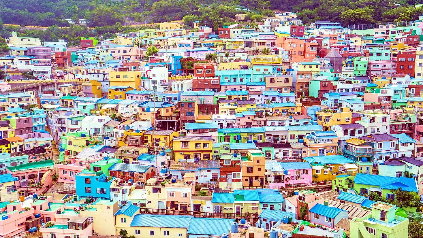 BUSAN – GYEONGJU - ULSAN – SEOUL BAY VN — ảnh 4