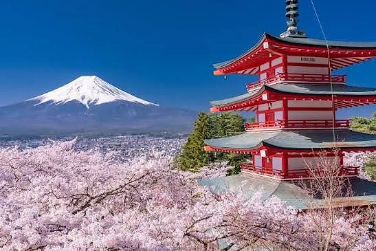 NGÀY 2 OSAKA – KYOTO – NAGOYA