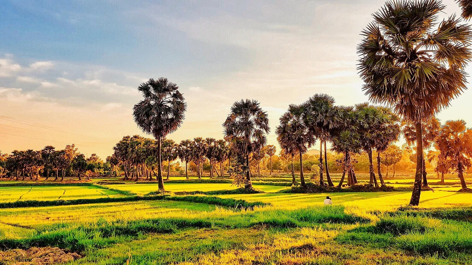 PHNOM PENH – SIEM REAP — ảnh 4