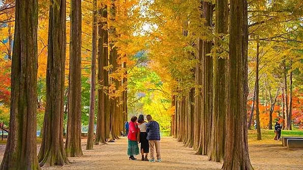 SEOUL – NAMI - EVERLAND — ảnh 5