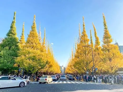 TOKYO - YAMANASHI - NAGOYA - KYOTO - OSAKA - KANSAI — ảnh 4