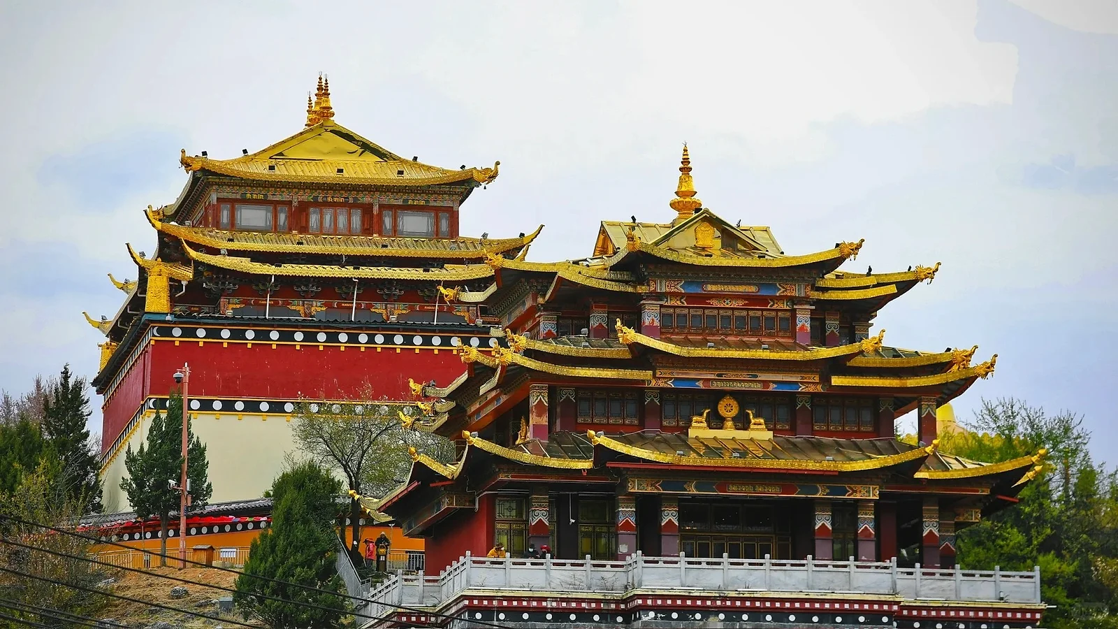 ĐẠI LÝ - SHANGRILA