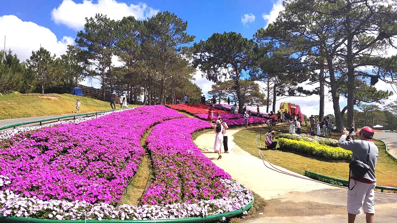 FAIRYTALE LAND - TỰ DO