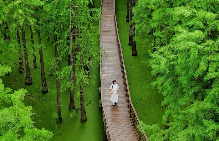 HÀNG CHÂU - TÂY SÁCH Ô TRẤN