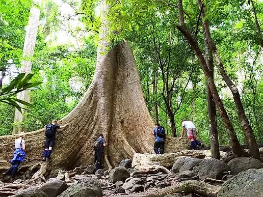 VƯỜN QUỐC GIA CÁT TIÊN — ảnh 5