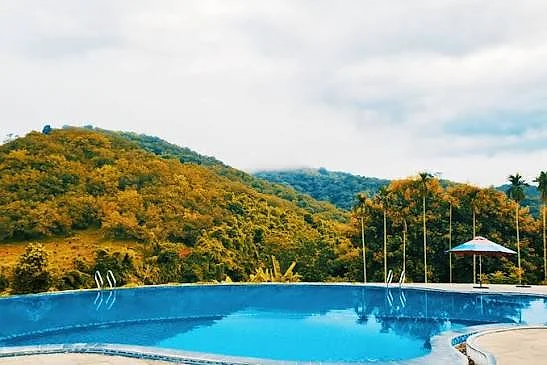 CHIA TAY RỪNG NAM CÁT TIÊN – TP.HCM
