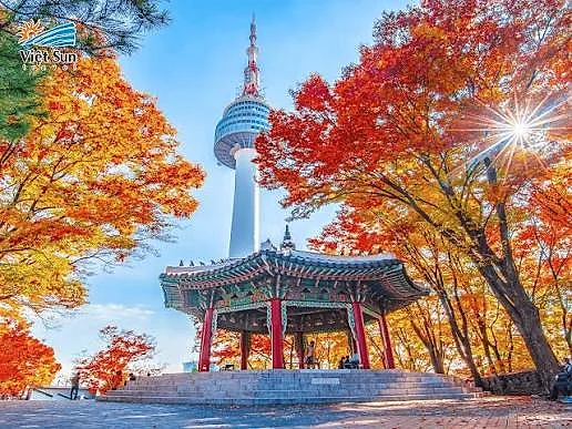 SEOUL - TPHCM
