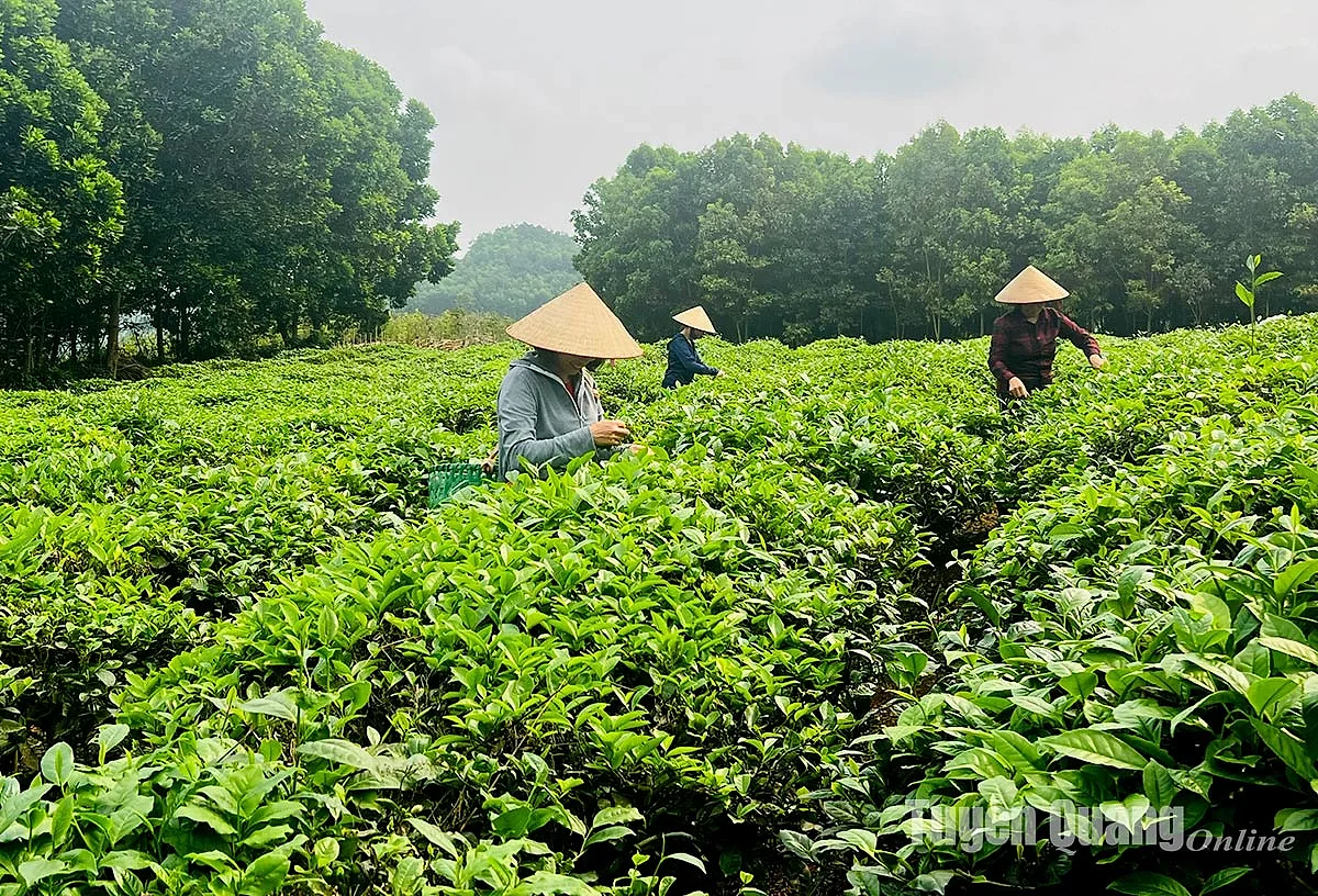 HÀ NỘI - HÀ GIANG - BẢN LÔ LÔ CHẢI - ĐỒNG VĂN CAO BẰNG - THÁC BẢN GIỐC - BA BỂ — ảnh 2