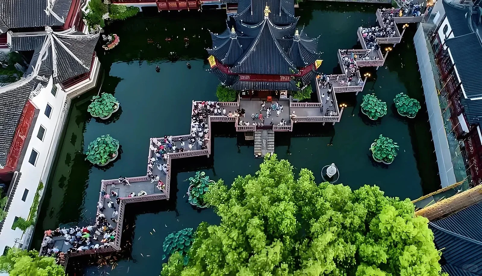 THƯỢNG HẢI - FREEDAY
