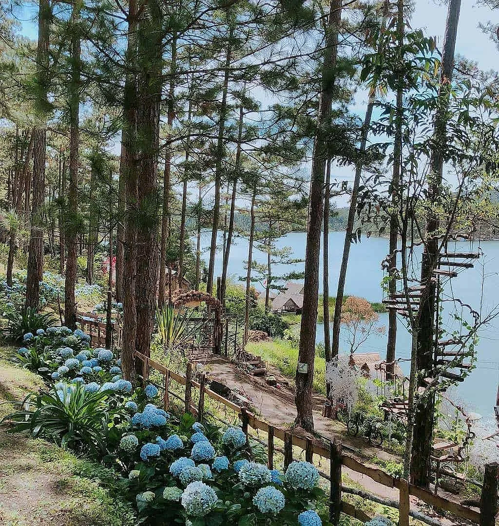 THIỀN VIỆN TRÚC LÂM - HAPPY HILL -  LANGBIANG LAND - GIAO LƯU CỒNG CHIÊNG