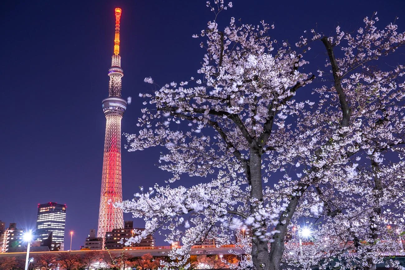 TOKYO - YAMANASHI - NAGOYA - KYOTO - OSAKA - KANSAI — ảnh 5