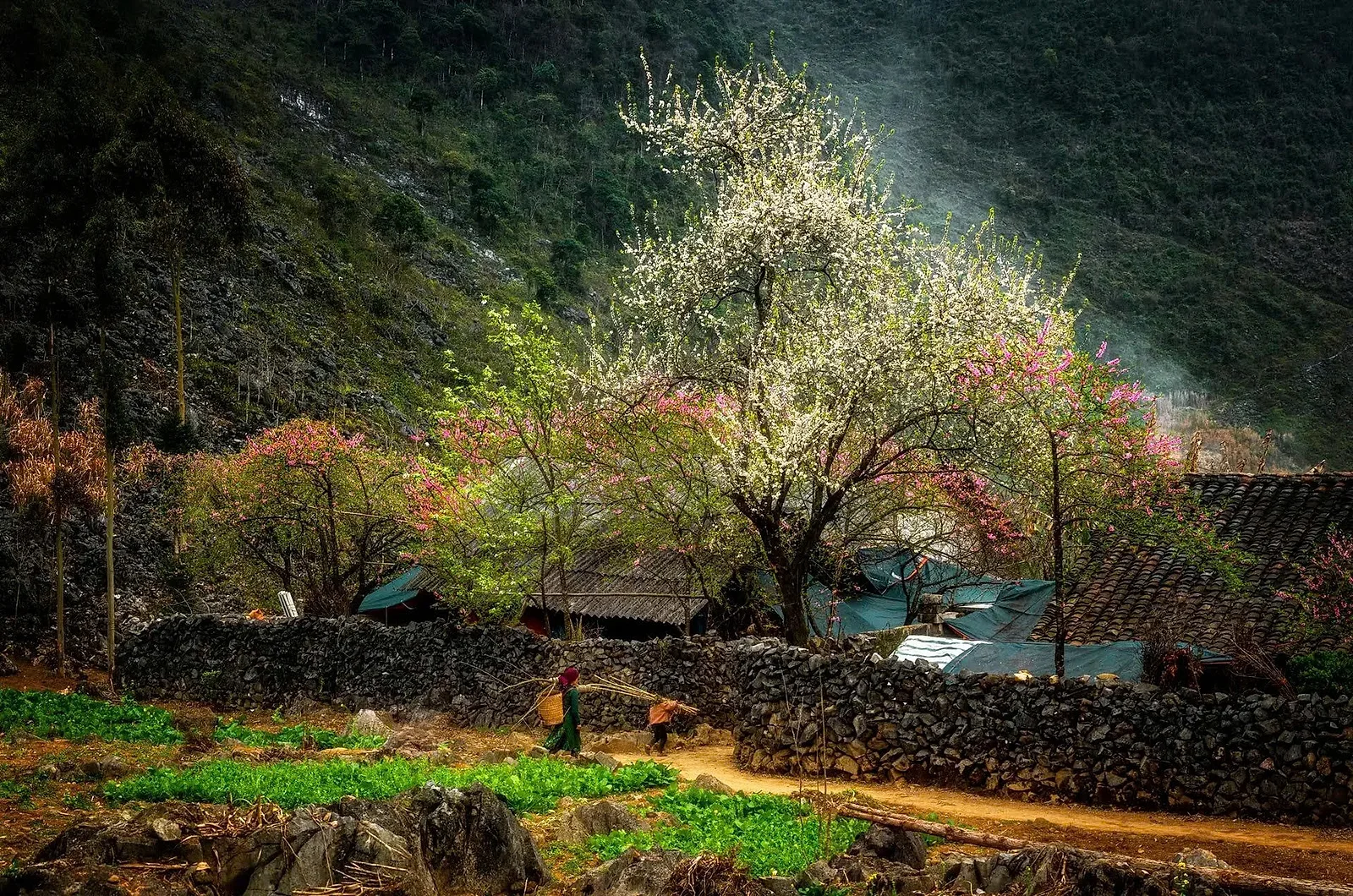 HÀ NỘI - HÀ GIANG - BẢN LÔ LÔ CHẢI - ĐỒNG VĂN CAO BẰNG - THÁC BẢN GIỐC - BA BỂ — ảnh 4