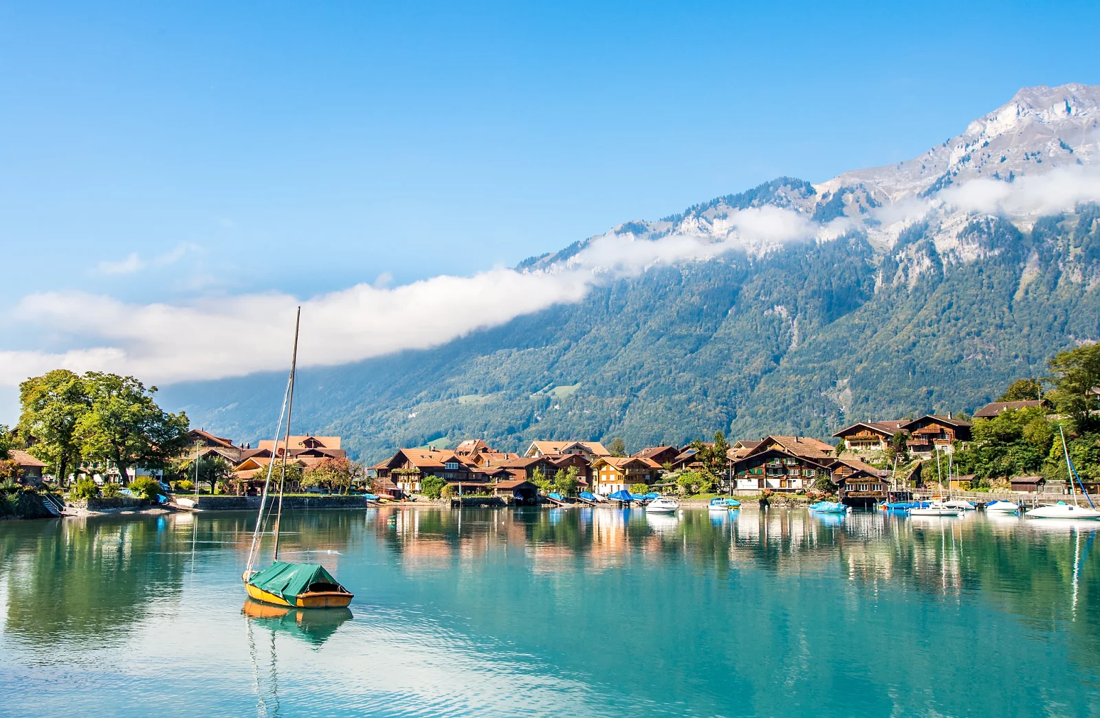 COLMAR - GRINDELWALD - ISELTWALD
