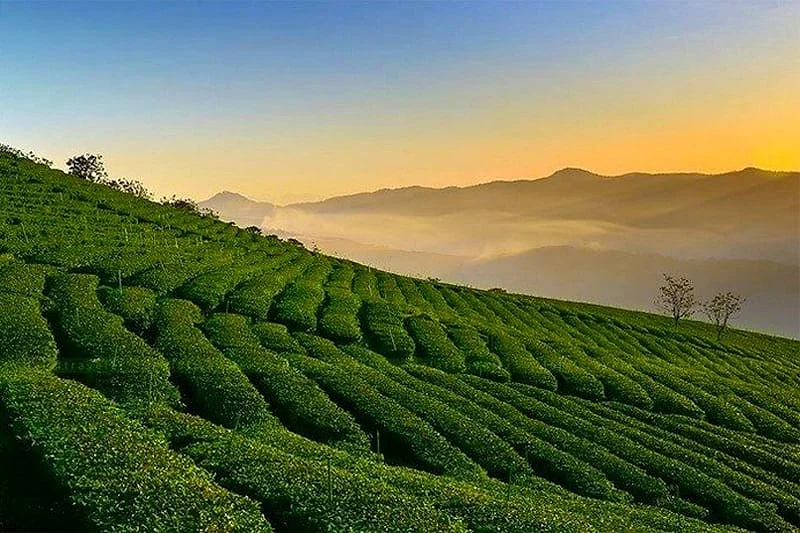 ĐÀ LẠT - THIÊN ĐƯỜNG SĂN MÂY — ảnh 4