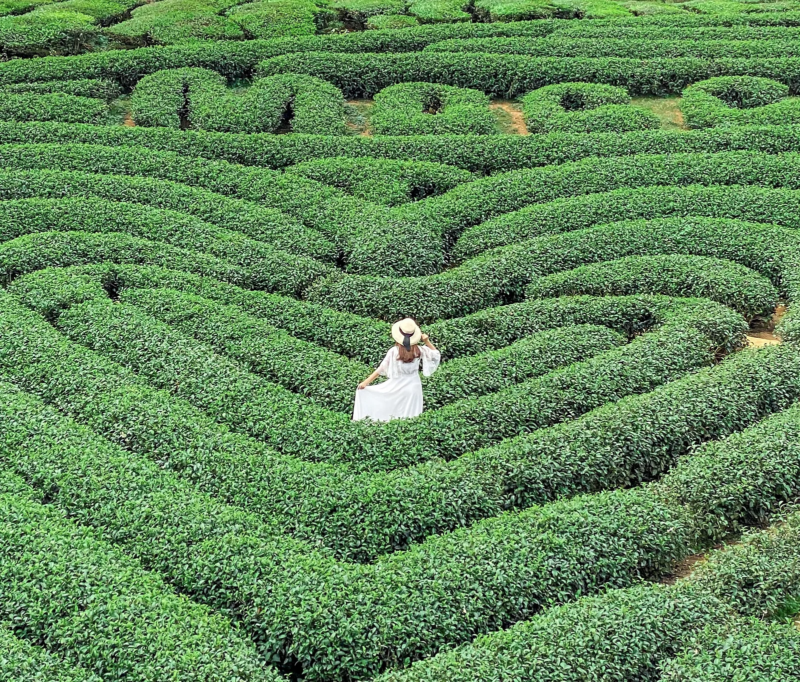 MỘC CHÂU – MAI CHÂU – SB NỘI BÀI – TP.HCM