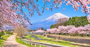 Nhật Bản – Tokyo – Kyoto 6N5Đ